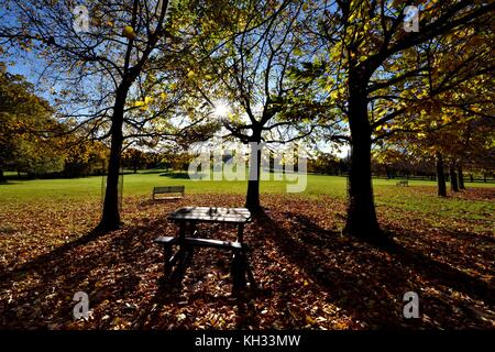 Scène d'automne dans la région de Nottingham Wollaton park England UK Banque D'Images