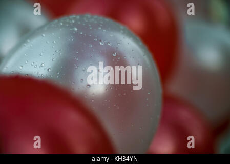 Des ballons blancs et rouges avec des gouttes de pluie Banque D'Images