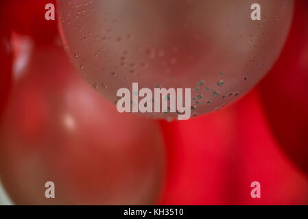 Des ballons blancs et rouges avec des gouttes de pluie Banque D'Images