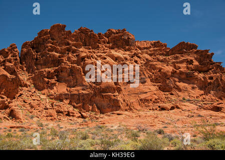 Formations rocheuses en grès aztèque le parc national de la vallée de feu près d'Overton, comté de Clark, Nevada, USA sud-ouest Banque D'Images