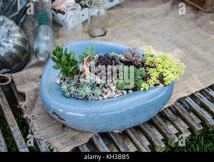 Redesseed jardin toilettes humour jardinière pot bac de lit, toilette avec succulents, ferme Amish, Lanncaster Comté, Pennsylvanie, USA, upcycled, toilette vintage Banque D'Images