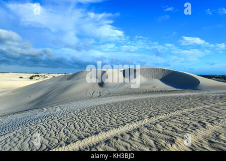 Dunes de sable blanc de nilgen réserve naturelle. Situé près de lancelin/Cervantès, au nord de Perth, Australie occidentale, Australie. Banque D'Images