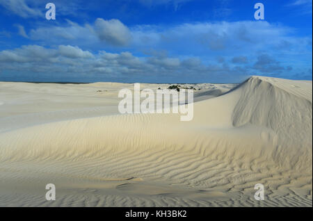 Dunes de sable blanc de nilgen réserve naturelle. Situé près de lancelin/Cervantès, au nord de Perth, Australie occidentale, Australie. Banque D'Images