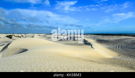 Dunes de sable blanc de nilgen réserve naturelle. Situé près de lancelin/Cervantès, au nord de Perth, Australie occidentale, Australie. Banque D'Images