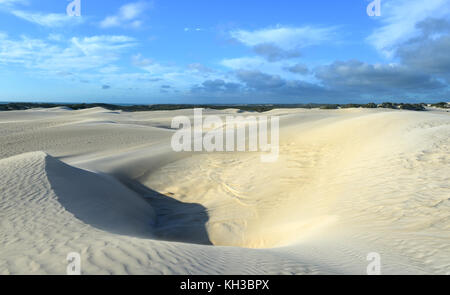 Dunes de sable blanc de nilgen réserve naturelle. Situé près de lancelin/Cervantès, au nord de Perth, Australie occidentale, Australie. Banque D'Images