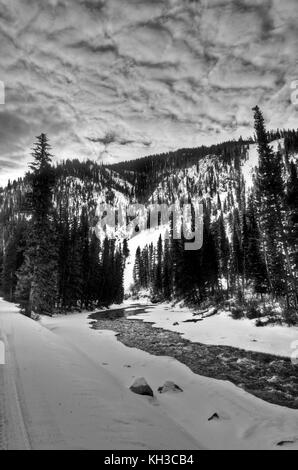 Le long du sentier de motoneige dans la région de grays River, Wyoming, un affluent de la rivière Snake. Banque D'Images