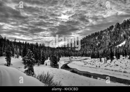 Le long du sentier de motoneige dans la région de grays River, Wyoming, un affluent de la rivière Snake. Banque D'Images