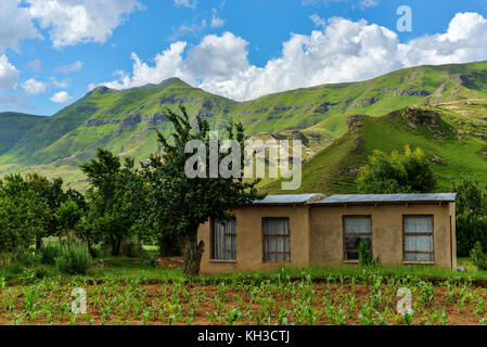 Petite ferme située dans le paysage vallonné de la région Butha-buthe du Lesotho. Le Lesotho, officiellement le royaume du Lesotho, est un pays sans littoral et e Banque D'Images