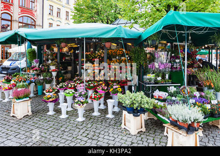 Wroclaw, Pologne - 12 septembre 2017 : flower stall sur plac solny square près de la place principale du marché de Wroclaw, à l'automne. Plac Solny est market squ Banque D'Images