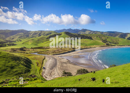 Les collines verdoyantes de la péninsule de Coromandel à Port Jackson, en Nouvelle-Zélande. Banque D'Images
