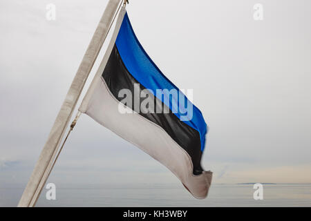 De brandir le drapeau de l'Estonie à l'aube. état européen. Banque D'Images