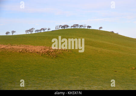 Bordée d'une colline au-dessus du nord de l'lowthwaite près de longlands wainwright est tombé dans le parc national du Lake District, Cumbria, Royaume-Uni. Banque D'Images