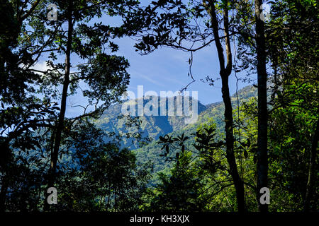 Vue en direction de mountain à travers des arbres Mont Rinjani Indonésie Banque D'Images