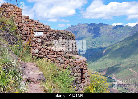 Avis de pisac dans la vallée de l'Urubamba, région de Cuzco, Pérou Banque D'Images