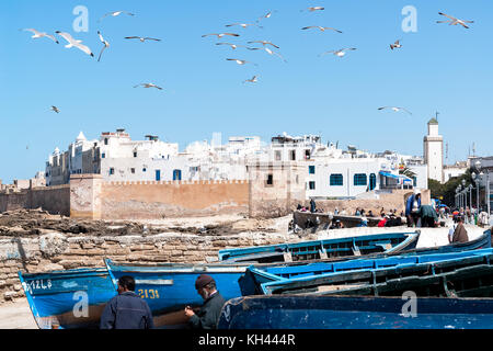 Les bateaux de pêche et bleu mouette à Essaouira - Maroc Banque D'Images