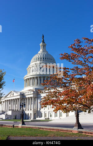 Le united states capitol dome en automne, Washington DC, USA. Les arbres feuillus colorés en face du majestueux capitole. Banque D'Images