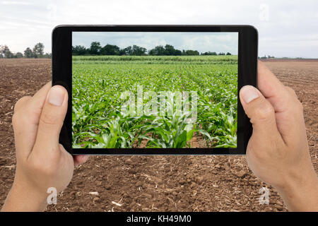 L'agriculture intelligente avec la technologie de la réalité augmentée concept futuriste, man holding tablet sur l'exploitation et l'utilisation de la technologie pour prédire l'avenir agricu Banque D'Images