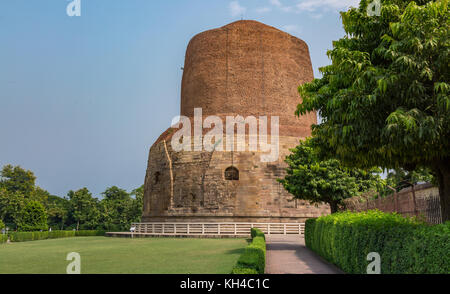 Dhamekh Stoupa s avec des anciennes ruines archéologiques de Sarnath, Varanasi, Inde Banque D'Images