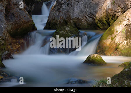 ruisseau de montagne avec eau cristalline à la gorge de Weissbachschlucht près d'Inzell, Chiemgau, Bavière, Allemagne. Banque D'Images
