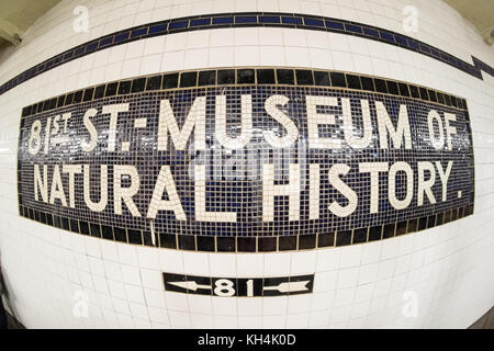 Signe de la mosaïque pour le Musée d'Histoire naturelle américain, Central Park West, Manhattan, New York City, États-Unis d'Amérique. Banque D'Images