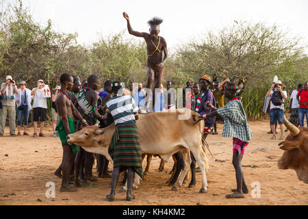 Turmi, Ethiopie - 14/11/16 : un jeune homme de la tribu de Hamar, en prenant part à l'arrivée de l'âge, bull jumping cérémonie (s'exécutant sur les taureaux) Banque D'Images