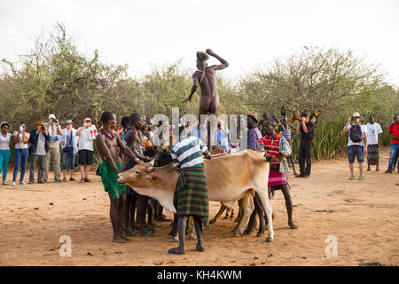 Turmi, Ethiopie - 14/11/16 : un jeune homme de la tribu de Hamar, en prenant part à l'arrivée de l'âge, bull jumping cérémonie (s'exécutant sur les taureaux) Banque D'Images