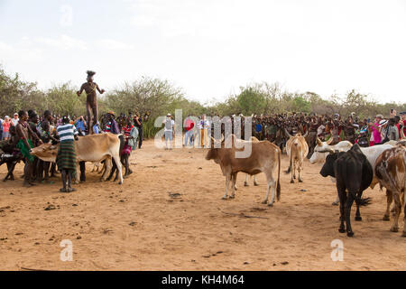 Turmi, Ethiopie - 14/11/16 : un jeune homme de la tribu de Hamar, en prenant part à l'arrivée de l'âge, bull jumping cérémonie (s'exécutant sur les taureaux) Banque D'Images