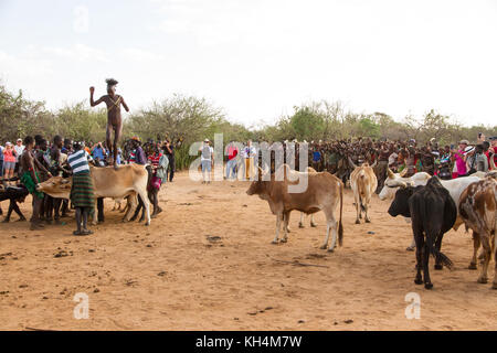 Turmi, Ethiopie - 14/11/16 : un jeune homme de la tribu de Hamar, en prenant part à l'arrivée de l'âge, bull jumping cérémonie (s'exécutant sur les taureaux) Banque D'Images