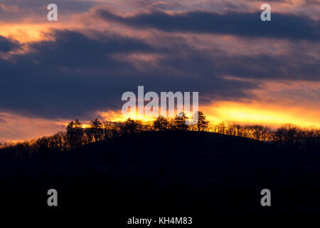 Magnifique coucher de soleil derrière un bouquet d'arbres. Banque D'Images