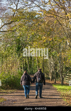 Un couple marchant main dans la main à travers un Tehidy Country Park automnal Cornwall Royaume-Uni. Banque D'Images