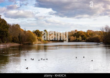 Barden Lake vue par Haysden Country Park en hiver, Tonbridge, Kent, UK Banque D'Images