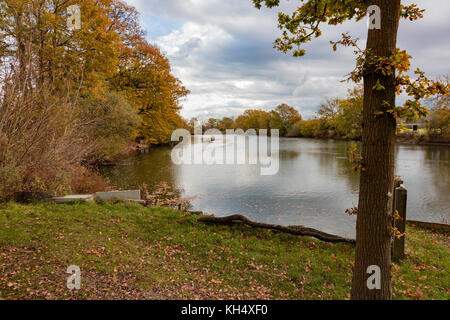 Barden Lake vue par Haysden Country Park en hiver, Tonbridge, Kent, UK Banque D'Images