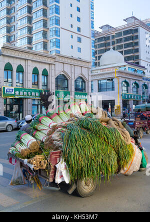 Overloaed avec panier de légumes dans la rue, la province de Gansu, Chine, Linxia Banque D'Images