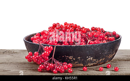 Viburnum dans poêle en fonte Banque D'Images