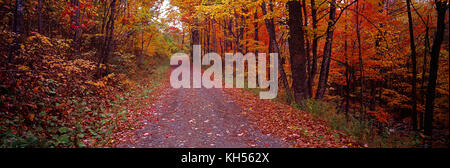 ÉTATS-UNIS. New Hampshire. Baignoire. Route à voie unique à travers la forêt en automne. Banque D'Images