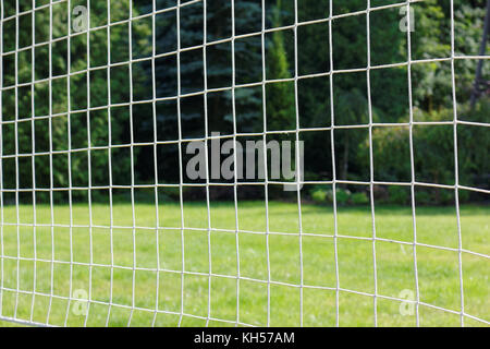 Filet de volley-ball sur un fond d'herbe verte. Banque D'Images