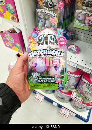 Montréal, Canada - le 7 novembre 2017 : hatchimals packs jouets dans un magasin. hatchimals est une gamme populaire de jouets robotiques produit par spin master. Banque D'Images