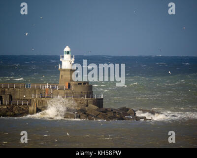 Phare, fishguard, Pembrokeshire, Pays de Galles Banque D'Images