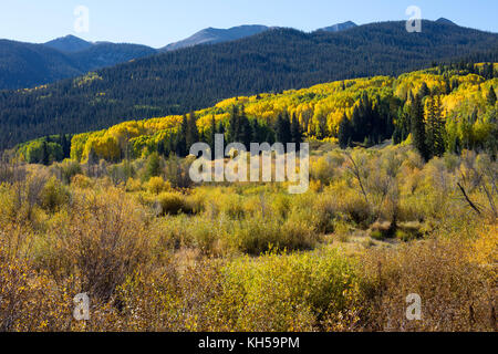 Couleurs d'automne automne dans Kebler Pass, près de Crested Butte, Colorado, États-Unis d'Amérique à l'automne automne Banque D'Images