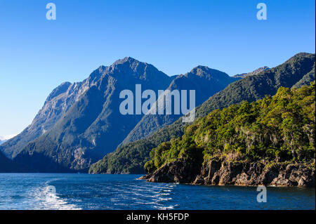 Tôt le matin, la lumière dans le Milford Sound, île du Sud, Nouvelle-Zélande Banque D'Images