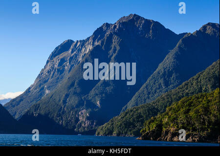 Tôt le matin, la lumière dans le Milford Sound, île du Sud, Nouvelle-Zélande Banque D'Images