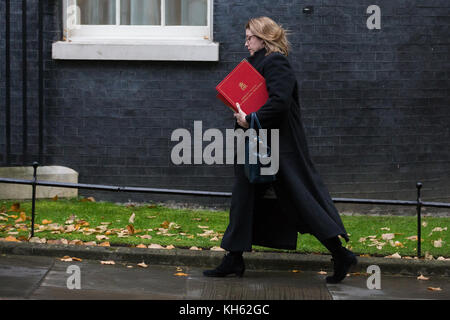 Londres, Royaume-Uni. 14 novembre, 2017. penny mordaunt mp, secrétaire d'État au développement international, arrive au 10 Downing Street pour une réunion du cabinet. crédit : mark kerrison/Alamy live news Banque D'Images