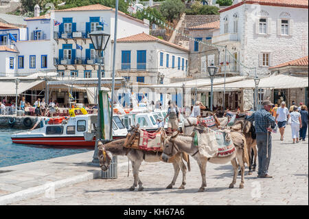 Hydra est une île grecque dans la mer Égée. Les ânes sont le principal moyen de transportion. Banque D'Images