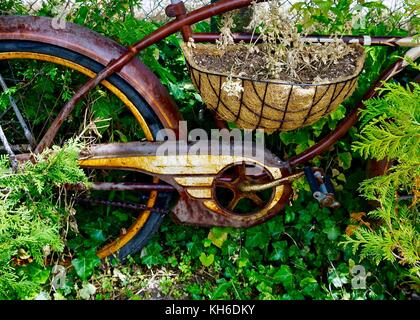 Vieux vélo rétro rouillé abandonné dans la verdure du jardin Banque D'Images