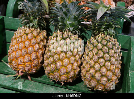 Trois ananas mûrs fruits entiers avec tige verte dans un panier en bois, Thaïlande Banque D'Images