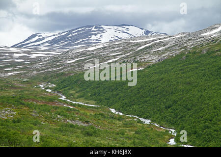 Tundra en Norvège Banque D'Images
