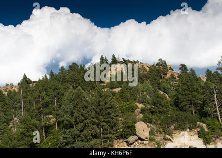 Castlewood Canyon State Park en Californie franktown Banque D'Images