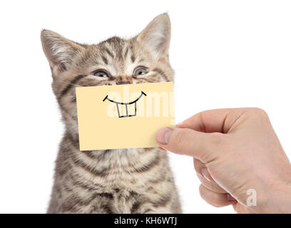 Happy cat avec drôle sourire sur carton isolated on white Banque D'Images