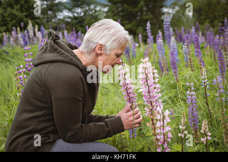 Senior woman smelling flowers dans la forêt Banque D'Images