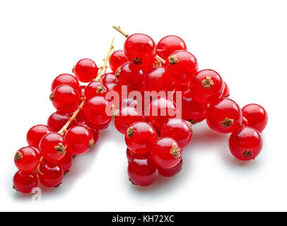 Organic bouquet de groseille rouge isolé sur fond blanc Banque D'Images